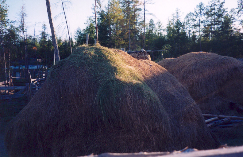 siberia2003_36.jpg