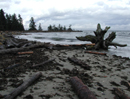 vancouver island beach